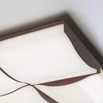 Потолочный светодиодный светильник Relief с основанием кофейного цвета