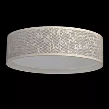 Потолочный светодиодный светильник ривз