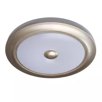 Потолочный светодиодный светильник с пультом ду mw-Light энигма