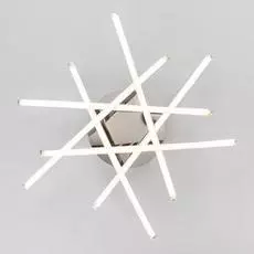 Потолочный светодиодный светильник Showy