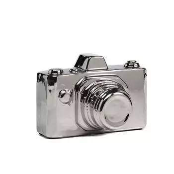 Предмет декора Camera серебряная