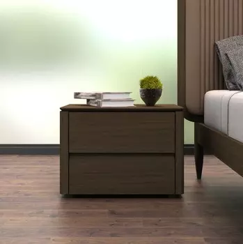 Прикроватная тумбочка Paterna с двумя выдвижными ящиками
