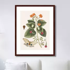 Репродукция картины Beauty Bloom №4 1732 г.