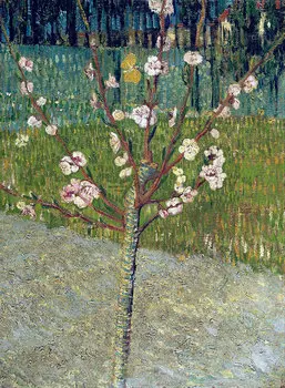 Репродукция картины на холсте Almond Tree in Blossom 1888 г.