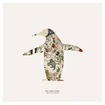 Репродукция картины на холсте Esse Quam Videri императорский пингвин