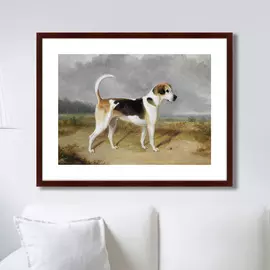 Репродукция картины Portrait of a Foxhound 1780 г.