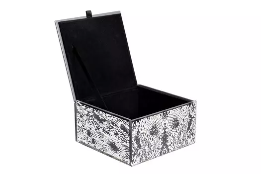 Шкатулка Cobra из стекла