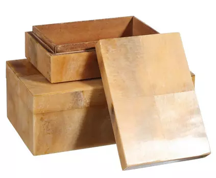 Шкатулка из рога буйвола