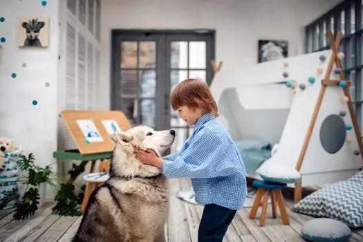 Стол-мольберт Moonk "Malevich" зеленый 1.5-5 лет