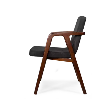 Стул Teatro с подлокотниками