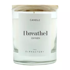 Свеча ароматическая Breathe - кислород 40 ч