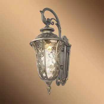 Уличный настенный светильник Favourite Luxus