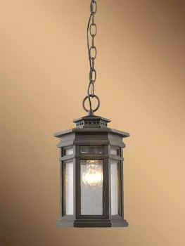 Уличный подвесной светильник Favourite "Guards"