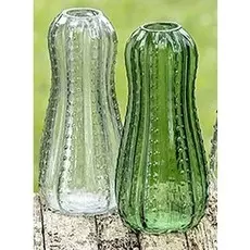 Ваза Cactus из прозрачного стекла