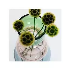 Ваза Large Astera Vase из стекла