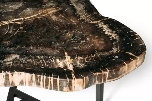 Журнальный стол бинтау из окаменелого дерева 381087