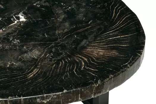 Журнальный стол бинтау из окаменелого дерева 381081