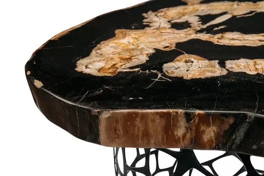 Журнальный стол бинтау из окаменелого дерева 381168