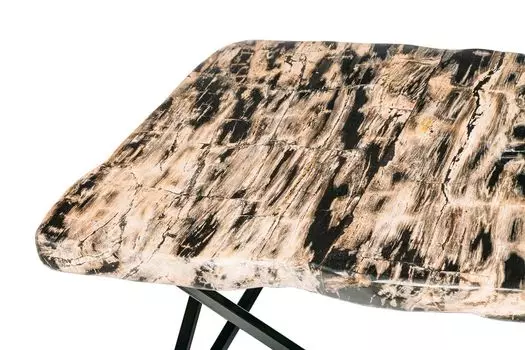 Журнальный стол бинтау из окаменелого дерева 381123