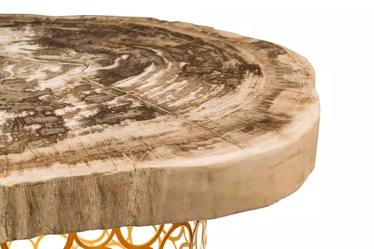 Журнальный стол бинтау из окаменелого дерева 381163