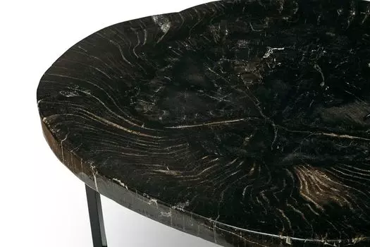 Журнальный стол бинтау из окаменелого дерева 381085