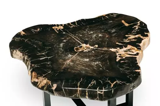 Журнальный стол бинтау из окаменелого дерева 381076