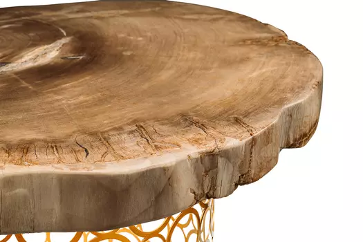 Журнальный стол бинтау из окаменелого дерева 381144