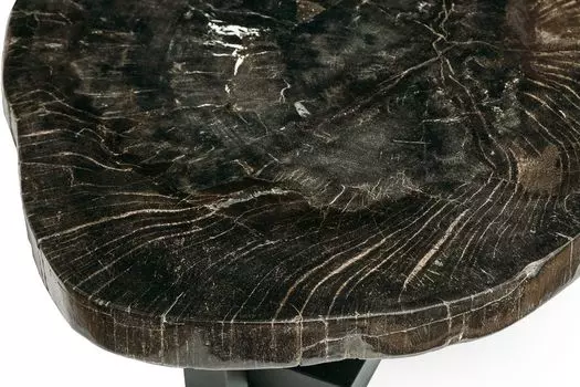 Журнальный стол бинтау из окаменелого дерева 381084