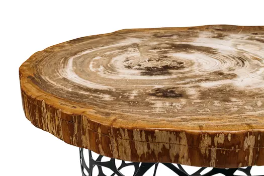 Журнальный стол бинтау из окаменелого дерева 381160