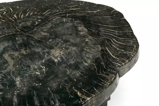 Журнальный стол бинтау из окаменелого дерева 381083