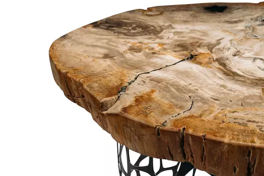 Журнальный стол бинтау из окаменелого дерева 381188