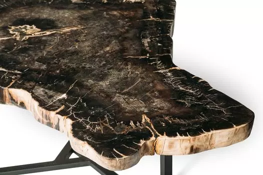 Журнальный стол бинтау из окаменелого дерева 381092