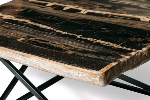 Журнальный стол бинтау из окаменелого дерева 381097