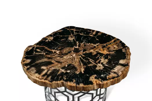 Журнальный стол бинтау из окаменелого дерева 381131