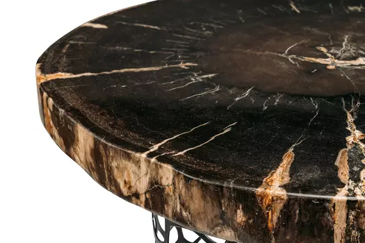Журнальный стол бинтау из окаменелого дерева 381172