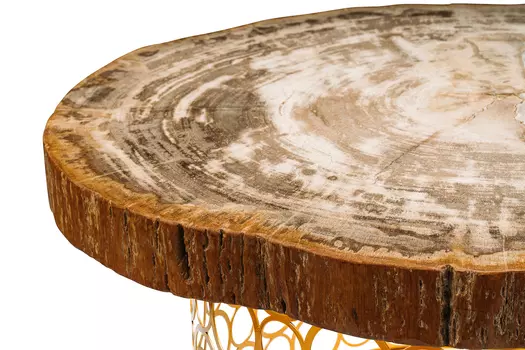Журнальный стол бинтау из окаменелого дерева 381155