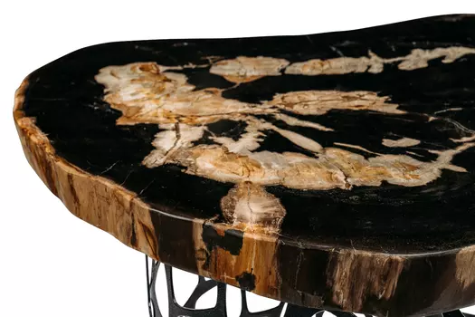 Журнальный стол бинтау из окаменелого дерева 381175