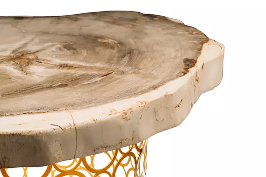 Журнальный стол бинтау из окаменелого дерева 381143