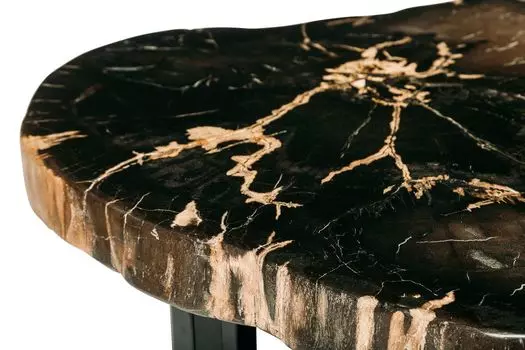 Журнальный стол бинтау из окаменелого дерева 381075