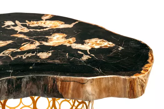 Журнальный стол бинтау из окаменелого дерева 381167