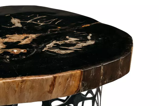 Журнальный стол бинтау из окаменелого дерева 381174