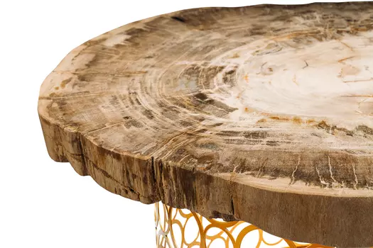 Журнальный стол бинтау из окаменелого дерева 381157