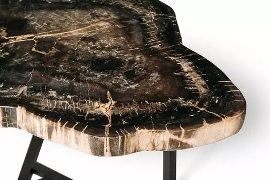 Журнальный стол бинтау из окаменелого дерева 381091