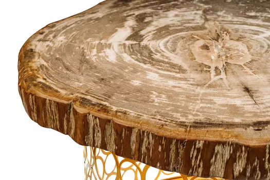 Журнальный стол бинтау из окаменелого дерева 381158