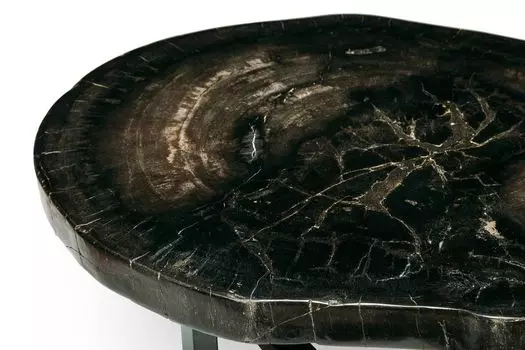 Журнальный стол бинтау из окаменелого дерева 381074