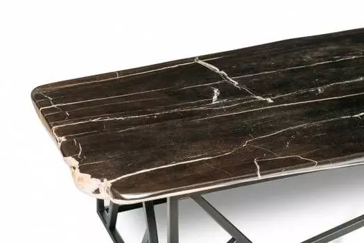 Журнальный стол бинтау из окаменелого дерева 381126