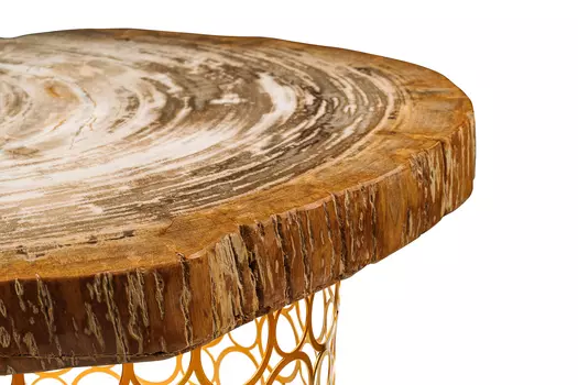 Журнальный стол бинтау из окаменелого дерева 381156