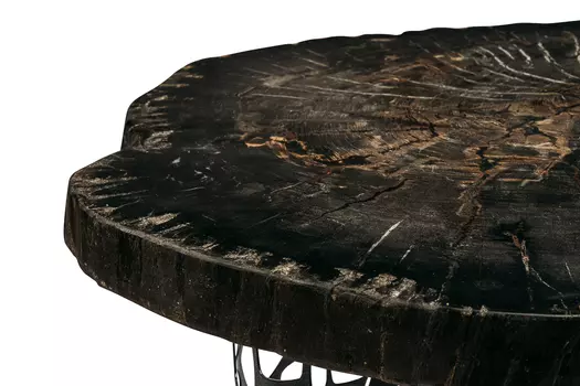 Журнальный стол бинтау из окаменелого дерева 381141
