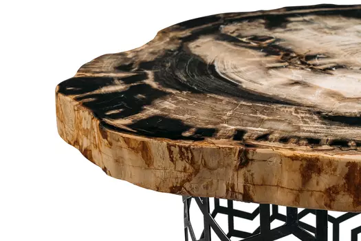 Журнальный стол бинтау из окаменелого дерева 381130