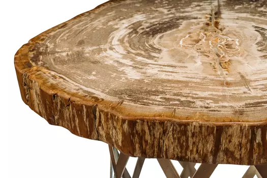 Журнальный стол бинтау из окаменелого дерева 381159